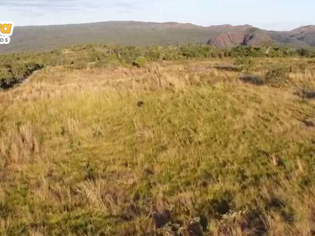 #3236 - Fazenda para Venda em Barra do Garças - MT - 3