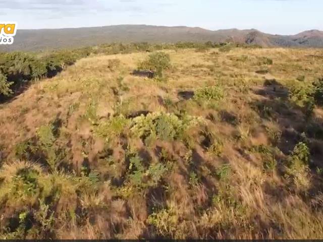 #3236 - Fazenda para Venda em Barra do Garças - MT - 1