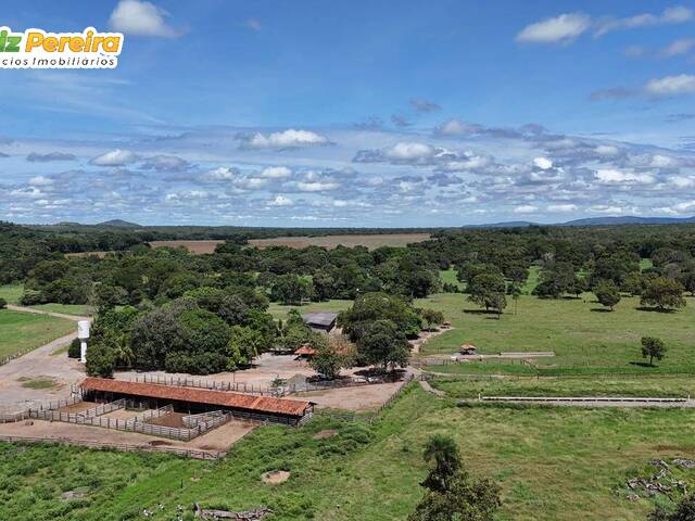 Venda em Zona Rural - Natividade