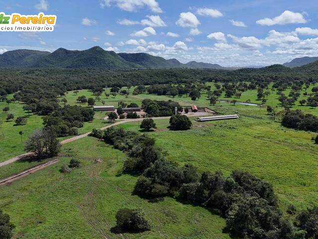 Venda em Zona Rural - Natividade