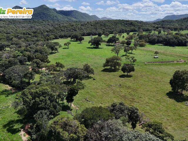 Fazenda para Venda em Natividade - 4