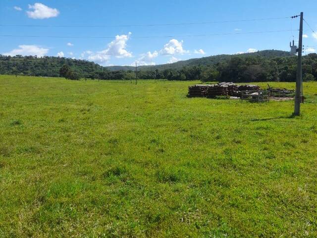#3239 - Fazenda para Venda em São João d`Aliança - GO - 3