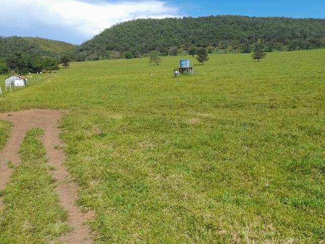 Fazenda para Venda em São João d`Aliança - 4