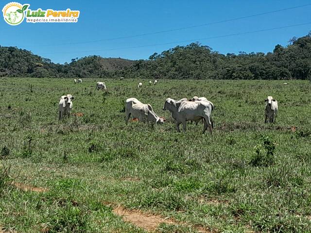 Fazenda para Venda em São João d`Aliança - 5