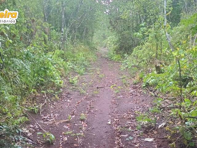 #3182 - Fazenda para Venda em Carolina - MA - 2