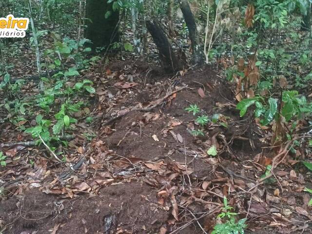 Fazenda para Venda em Carolina - 5