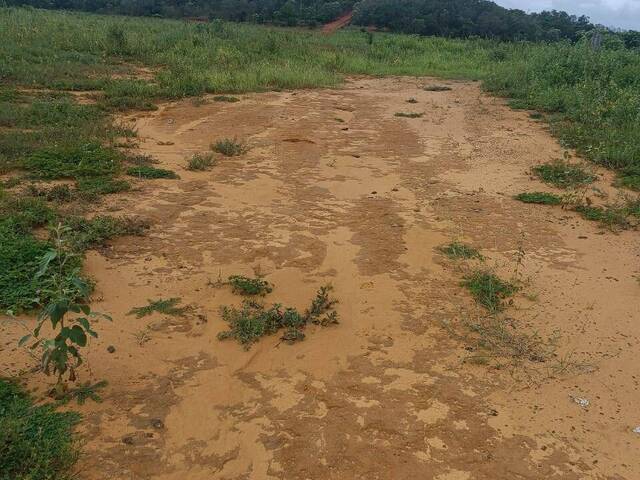 #3240 - Fazenda para Venda em Barra do Ouro - TO - 2