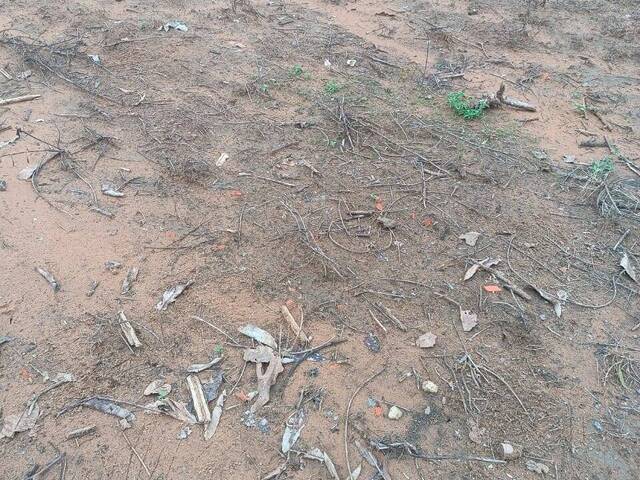 #3240 - Fazenda para Venda em Barra do Ouro - TO - 3