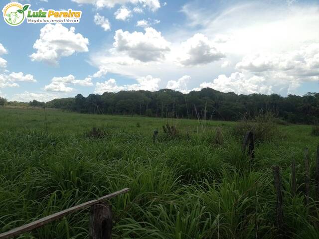 #3241 - Fazenda para Venda em Almas - TO - 2