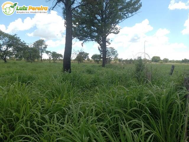 #3241 - Fazenda para Venda em Almas - TO - 3