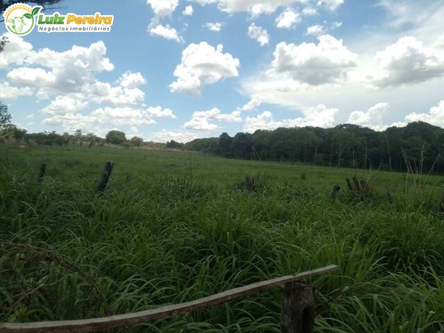 Fazenda para Venda em Almas - 5
