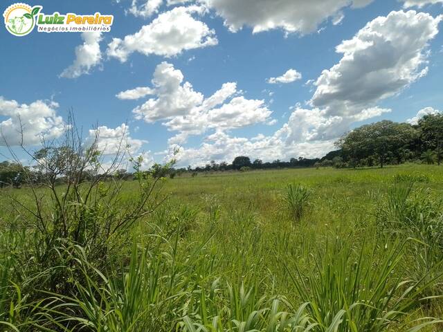 #3241 - Fazenda para Venda em Almas - TO