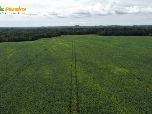 Fazenda para Venda em Dois Irmãos do Tocantins - 4