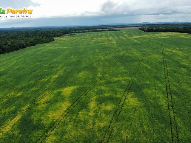 #3207 - Fazenda para Venda em Dois Irmãos do Tocantins - TO