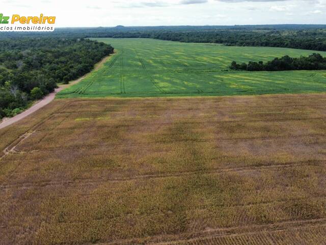 Fazenda para Venda em Dois Irmãos do Tocantins - 5