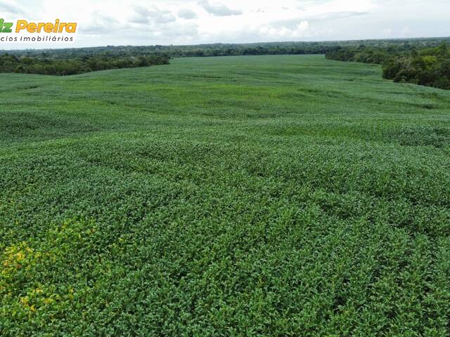 #3207 - Fazenda para Venda em Dois Irmãos do Tocantins - TO - 3