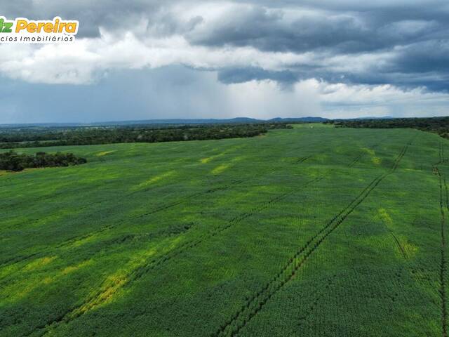 #3207 - Fazenda para Venda em Dois Irmãos do Tocantins - TO - 2