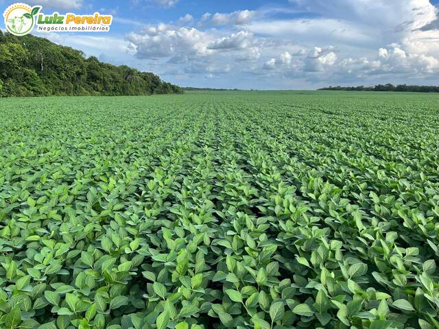 #3207 - Fazenda para Venda em Dois Irmãos do Tocantins - TO