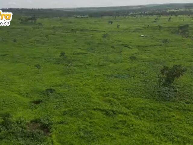 #3242 - Chácara para Venda em Porto Franco - MA - 3