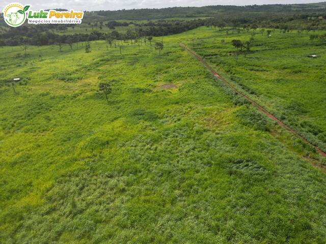 #3242 - Chácara para Venda em Porto Franco - MA - 2