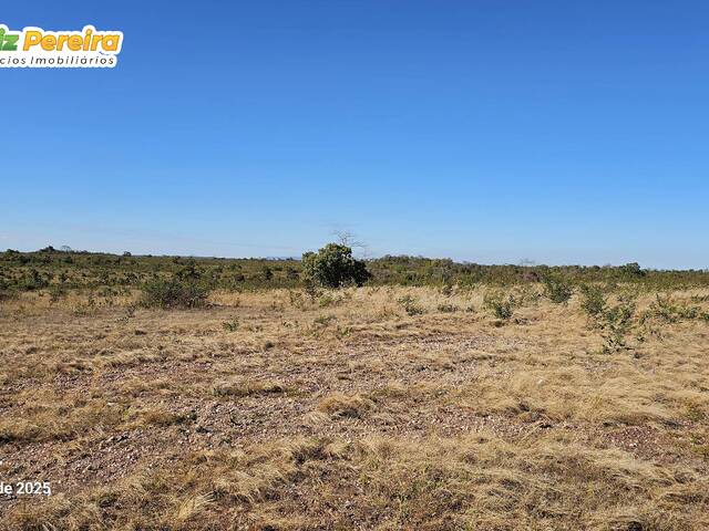 Fazenda para Venda em Gurupi - 5