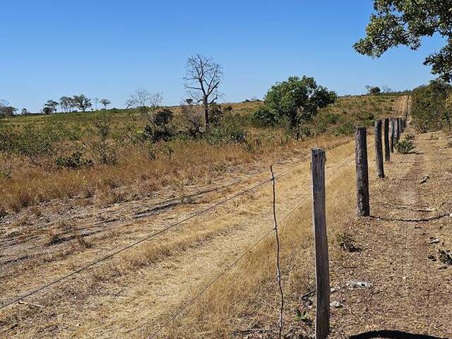 #3243 - Fazenda para Venda em Gurupi - TO