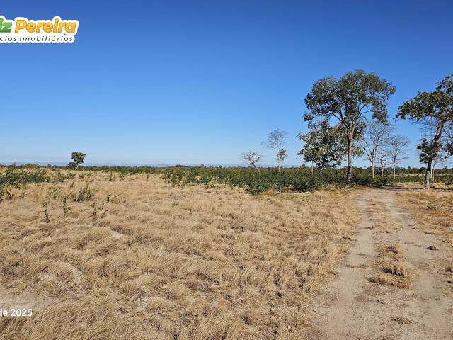 Fazenda para Venda em Gurupi - 4