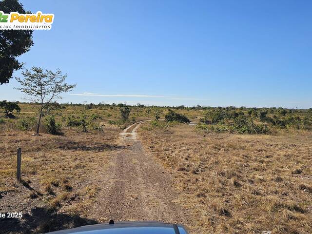 #3243 - Fazenda para Venda em Gurupi - TO - 3