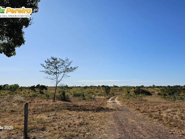 Fazenda para Venda em Gurupi - 3