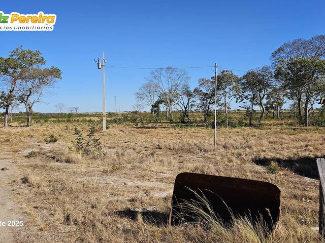 #3243 - Fazenda para Venda em Gurupi - TO - 2