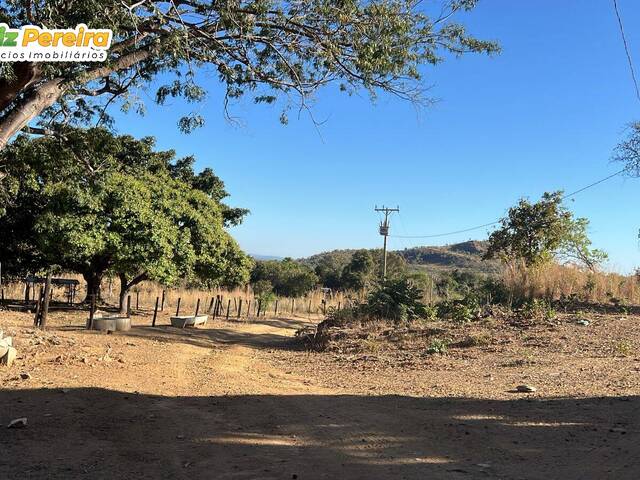 #3244 - Fazenda para Venda em Paranã - TO - 3