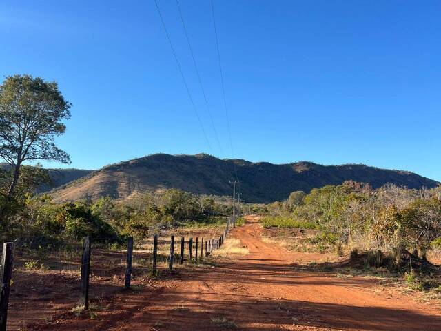 Fazenda para Venda em Paranã - 5