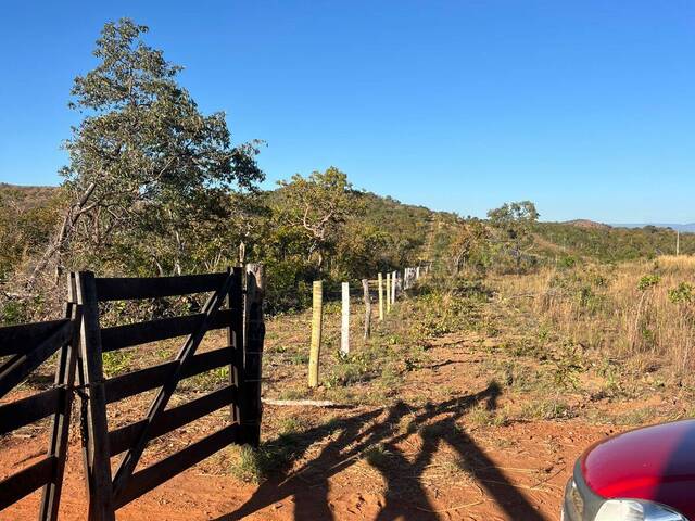 Fazenda para Venda em Paranã - 4