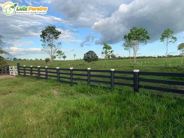 #3245 - Fazenda para Venda em Palmeiras do Tocantins - TO