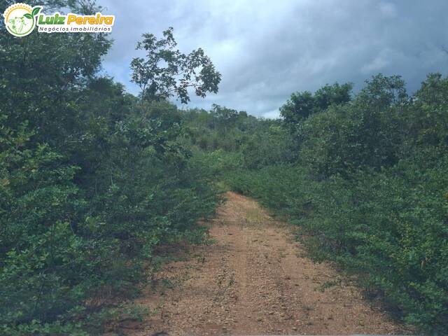 #3245 - Fazenda para Venda em Palmeiras do Tocantins - TO - 2