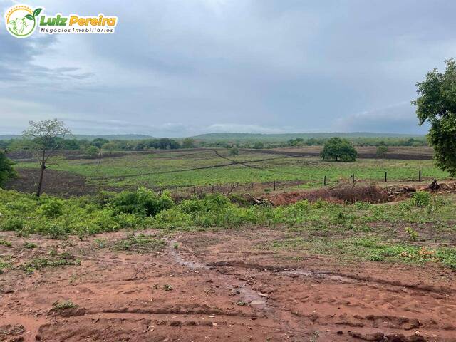 #3246 - Fazenda para Venda em Grajaú - MA