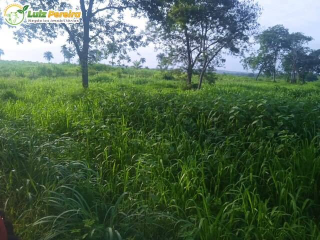 #3246 - Fazenda para Venda em Grajaú - MA - 2