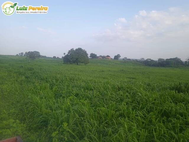 #3246 - Fazenda para Venda em Grajaú - MA - 3