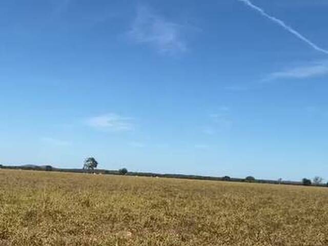 Fazenda para Venda em Porto Nacional - 4