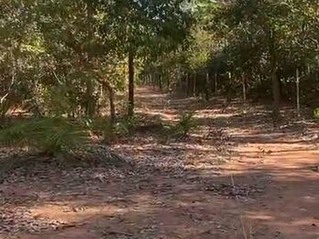 Fazenda para Venda em Porto Nacional - 5