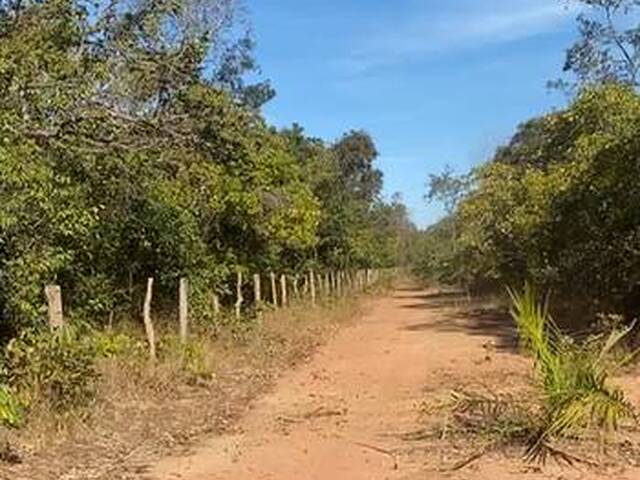 #3247 - Fazenda para Venda em Porto Nacional - TO - 3