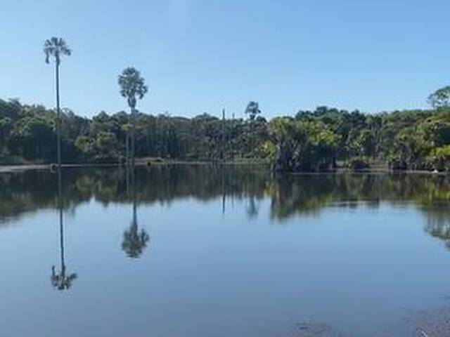 #3247 - Fazenda para Venda em Porto Nacional - TO - 2