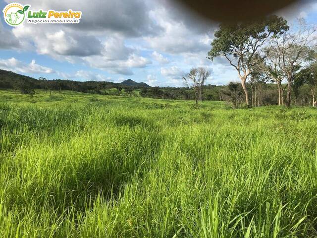 Fazenda para Venda em Palmeirópolis - 4