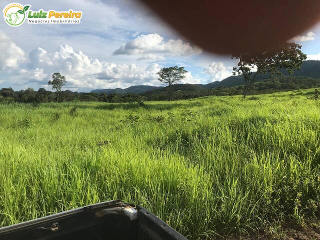 Fazenda para Venda em Palmeirópolis - 5