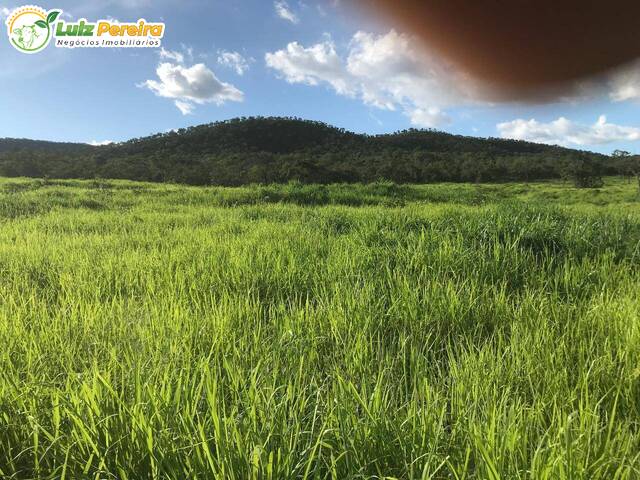 #3248 - Fazenda para Venda em Palmeirópolis - TO - 3