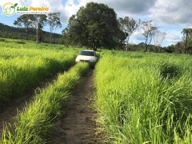 Fazenda para Venda em Palmeirópolis - 4
