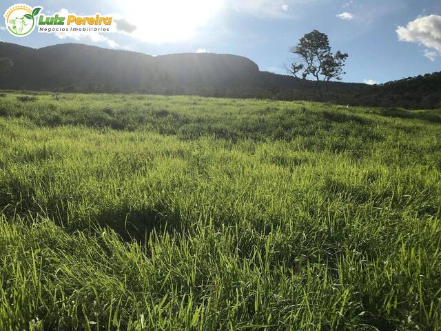 #3248 - Fazenda para Venda em Palmeirópolis - TO - 2