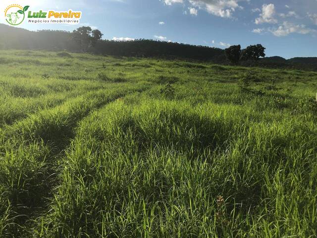 #3248 - Fazenda para Venda em Palmeirópolis - TO