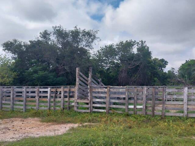 Fazenda para Venda em São Raimundo das Mangabeiras - 4