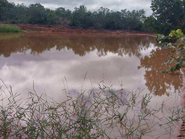 #3249 - Fazenda para Venda em São Raimundo das Mangabeiras - MA